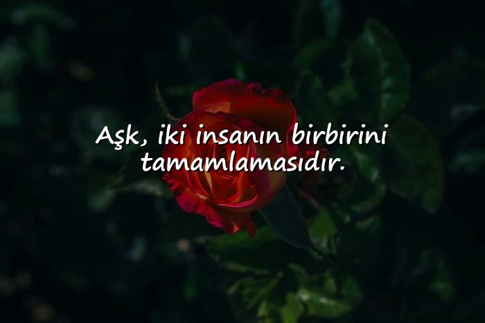 resimli aşk ile ilgili sözler - 21
