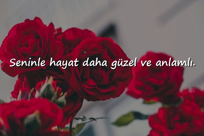 resimli aşk mesajı seviliye - 23