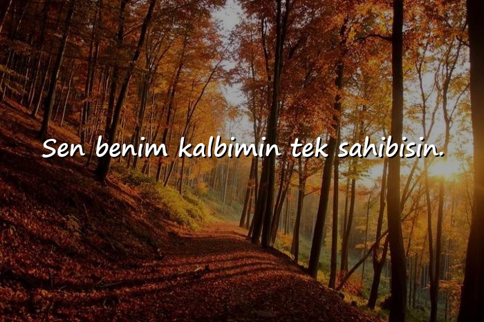 resimli aşk mesajı seviliye - 18