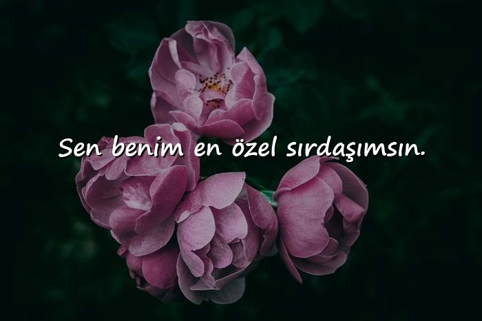 resimli aşk mesajı seviliye - 13