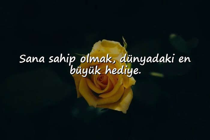 resimli aşk mesajı seviliye - 8