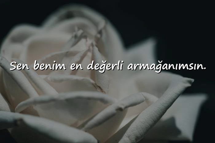 resimli aşk mesajı seviliye - 3