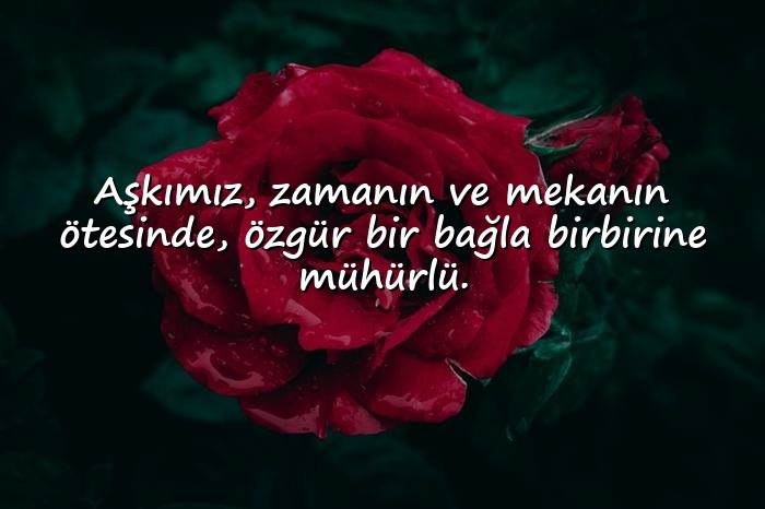 resimli aşk mesajları - 16
