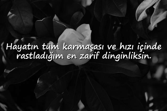 resimli aşk mesajları - 11