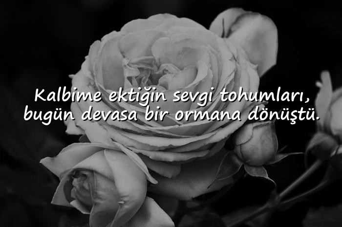 resimli Aşk Sözleri - 4