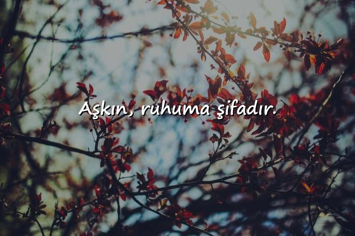 resimli aşk sözleri kısa - 19