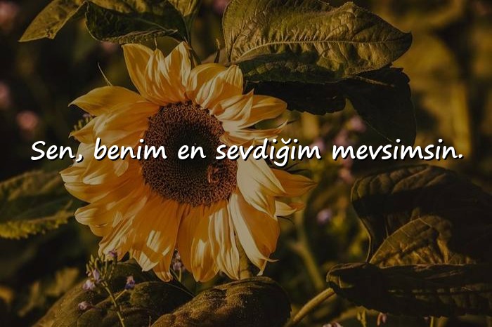 resimli aşk sözleri kısa - 14