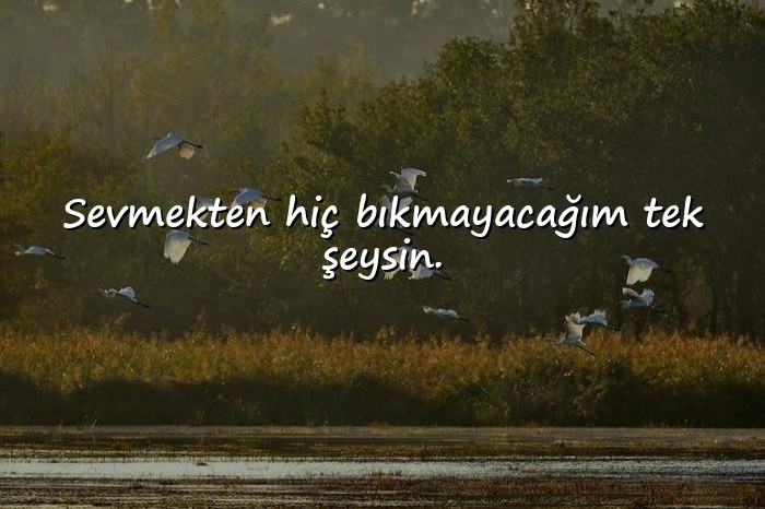resimli aşk sözleri kısa - 1