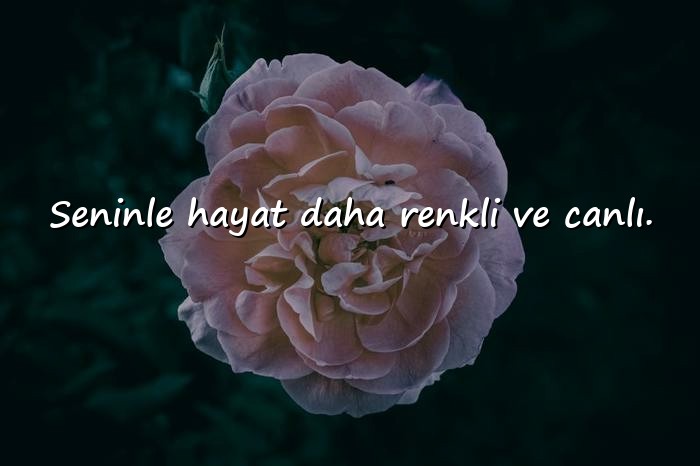 resimli aşk sözleri romantik - 17