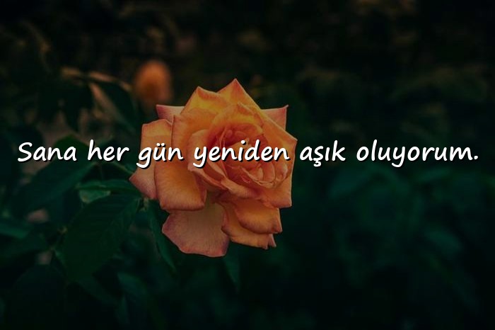 resimli aşk sözleri romantik - 12