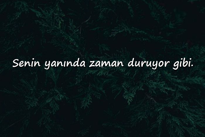 resimli aşk sözleri romantik - 7