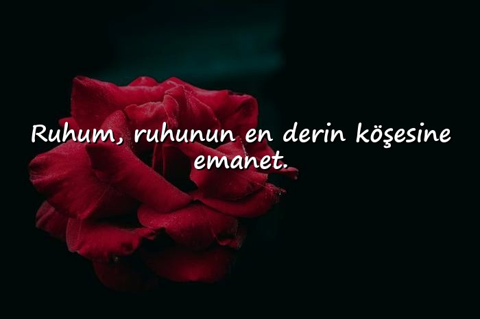 resimli aşk sözleri romantik kısa - 20