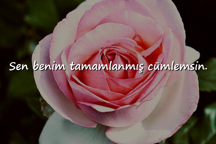 resimli aşk sözleri romantik kısa - 1