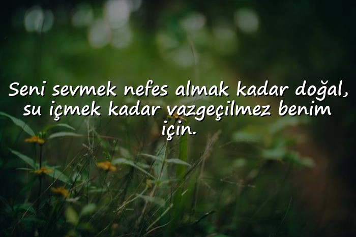 resimli aşk sözleri sevgiliye - 14