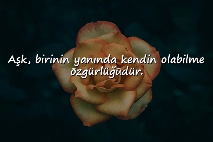 resimli aşkla ilgili güzel sözler - 7