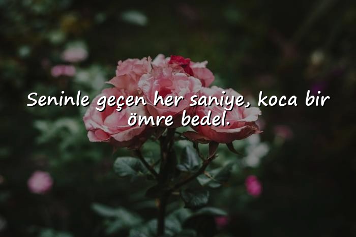 resimli aşkla ilgili sözler - 1