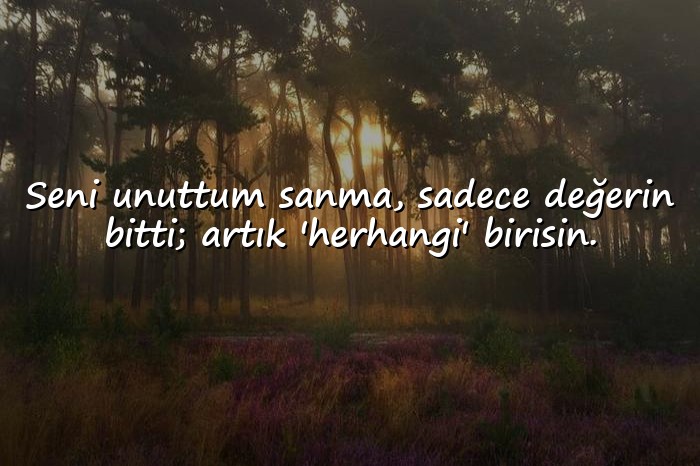 resimli atarlı sözler - 2