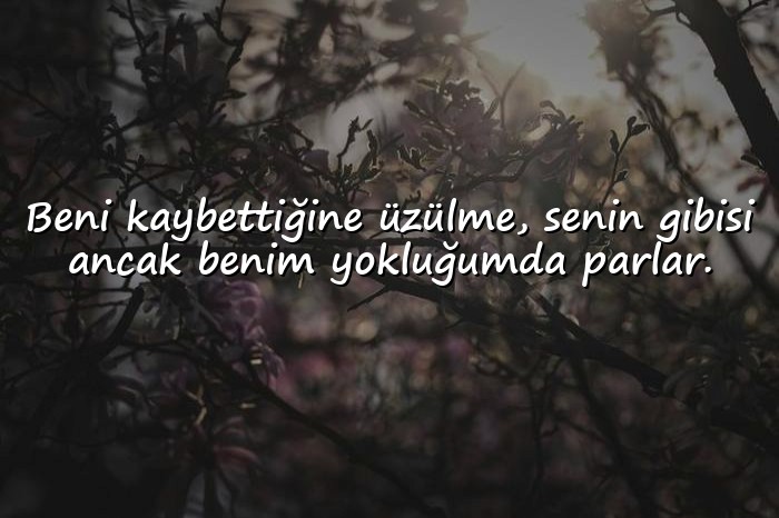 resimli atarlı sözler - 22