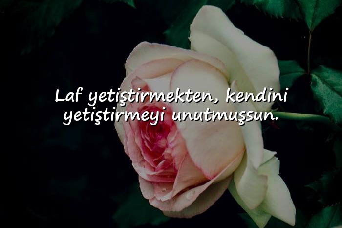 resimli atarlı sözler - 17