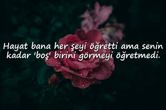 resimli atarlı sözler - 2