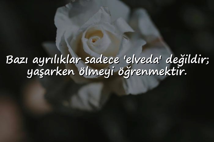 resimli ayrılık ile ilgili sözler - 6