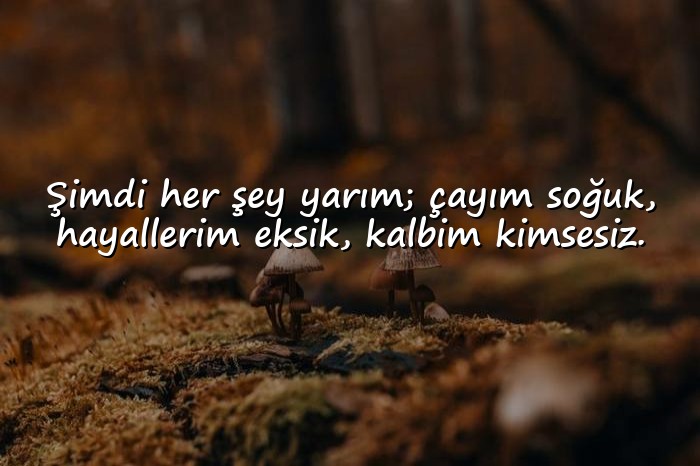 resimli ayrılık ile ilgili sözler - 1