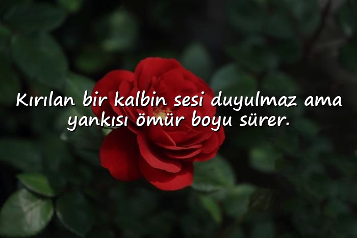 resimli ayrılık ile ilgili sözler - 11