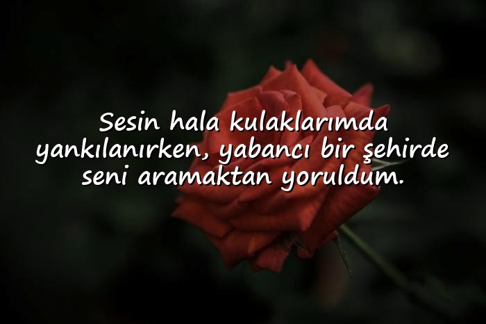 resimli ayrılık sözleri - 21
