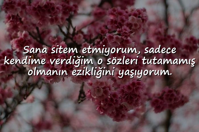 resimli ayrılık sözleri - 6