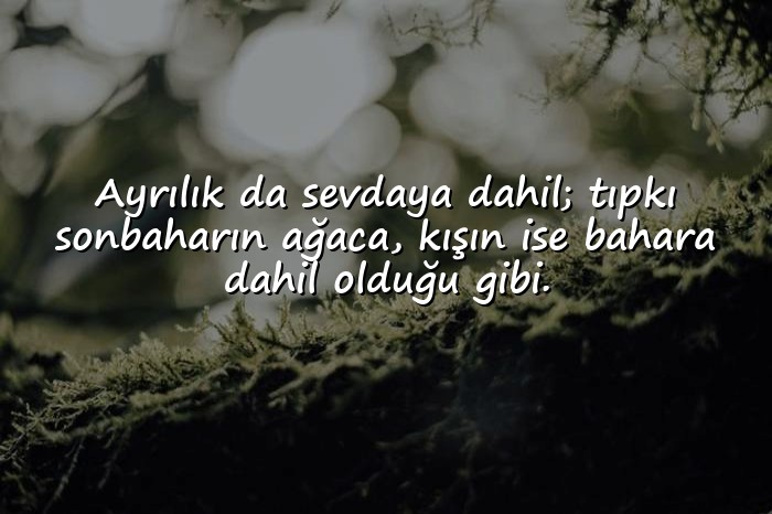 resimli ayrılık sözleri - 1
