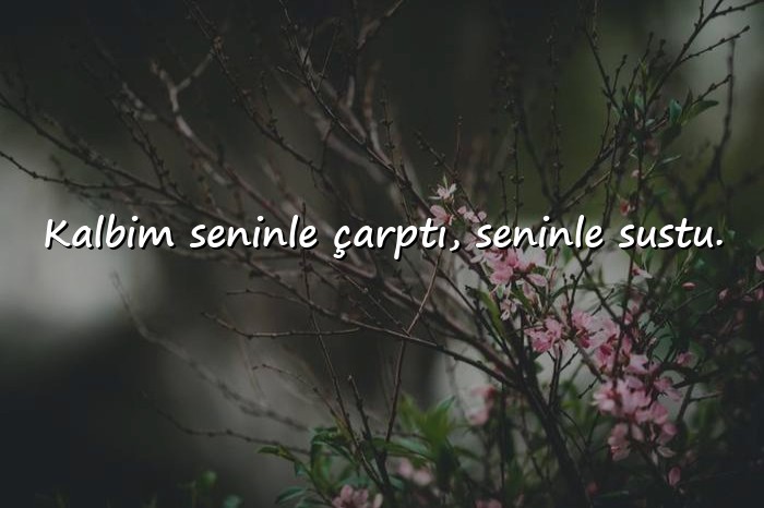 resimli ayrılık sözleri - 16