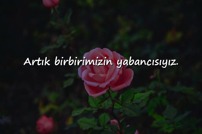 resimli ayrılık sözleri - 11