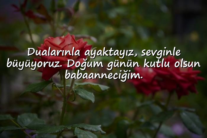 resimli Babaanneye Doğum Günü Sözleri - 11