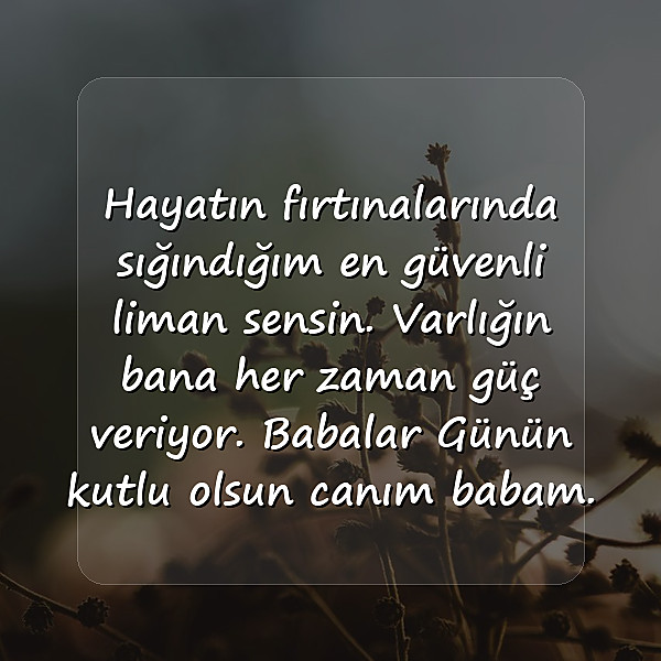 babalar günü mesajı - 5