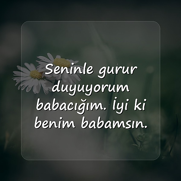 babalar günü mesajı - 22