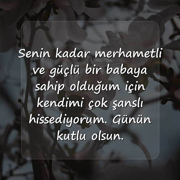 babalar günü mesajı - 6