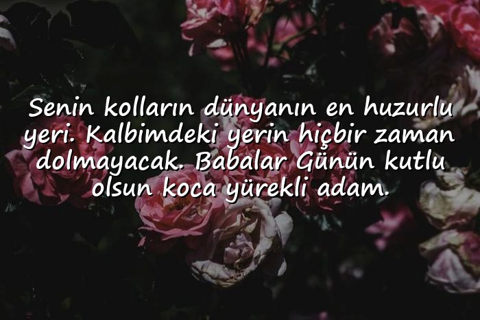 resimli babalar günü mesajı - 1