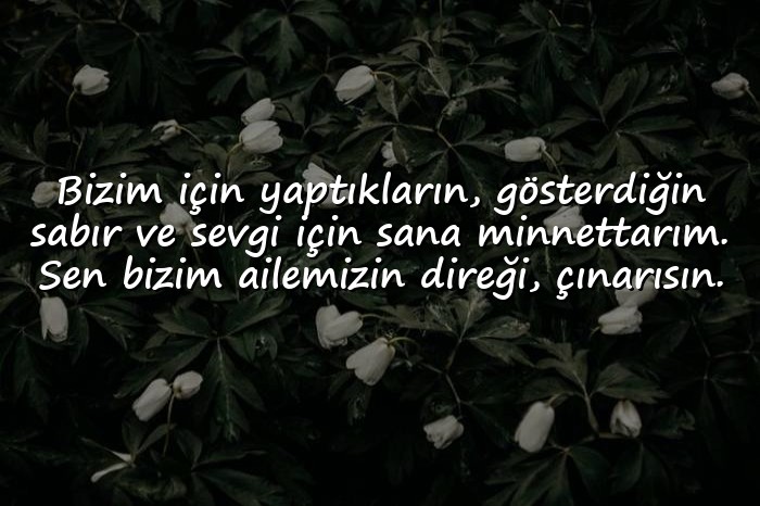 resimli babalar günü mesajı - 16