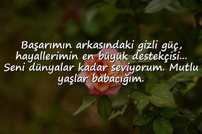 resimli babaya doğum günü sözleri - 16