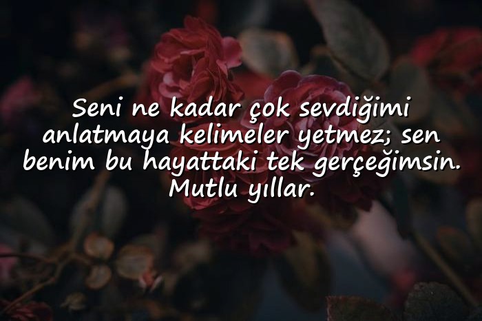 resimli babaya doğum günü sözleri - 6