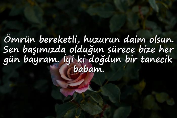 resimli babaya doğum günü sözleri - 1