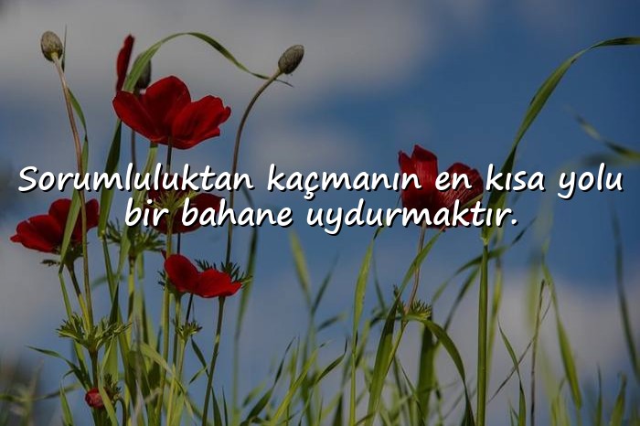 resimli bahane sözleri - 21