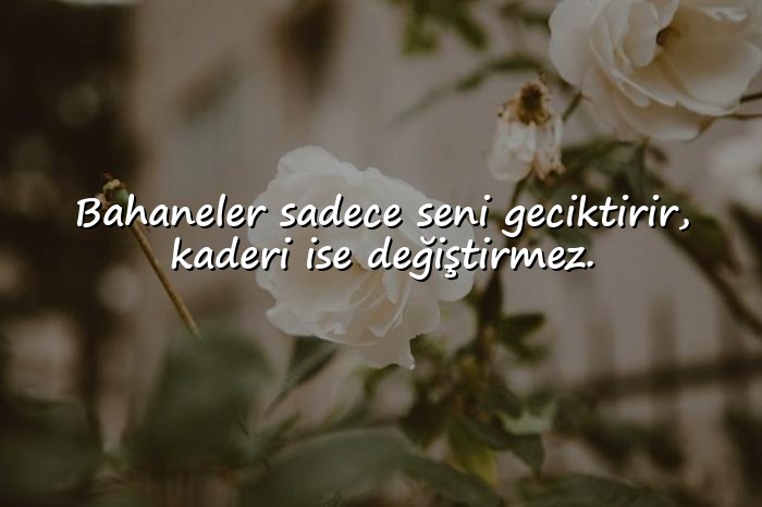 resimli bahane sözleri - 11