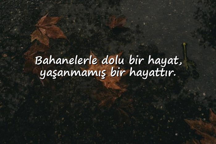 resimli bahane sözleri - 1