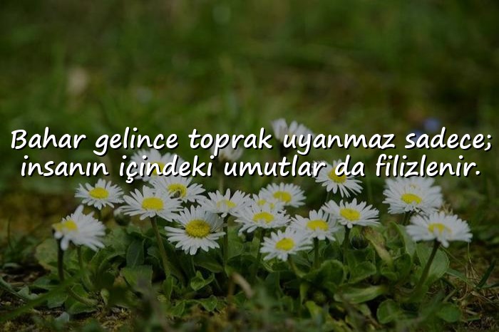 resimli bahar ile ilgili sözler - 6
