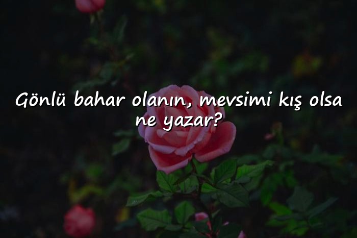 resimli bahar ile ilgili sözler - 1