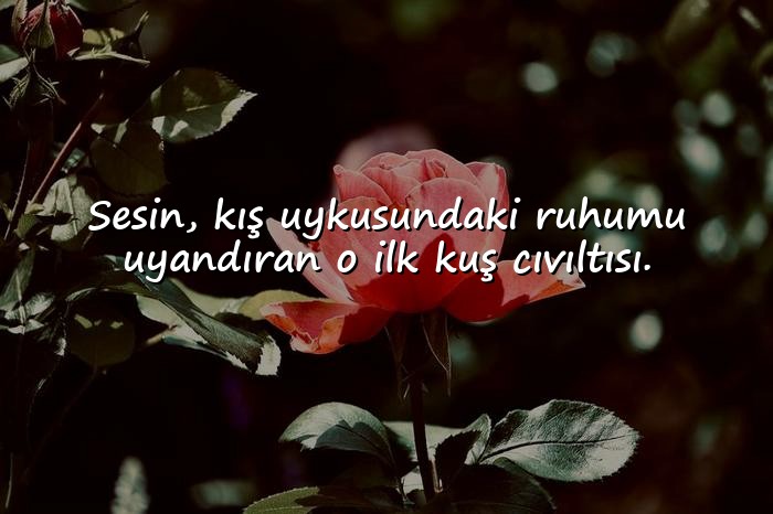 resimli bahar ile ilgili sözler - 21