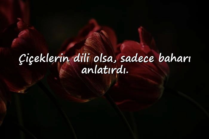 resimli bahar ile ilgili sözler - 16