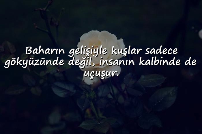 resimli bahar ile ilgili sözler - 6