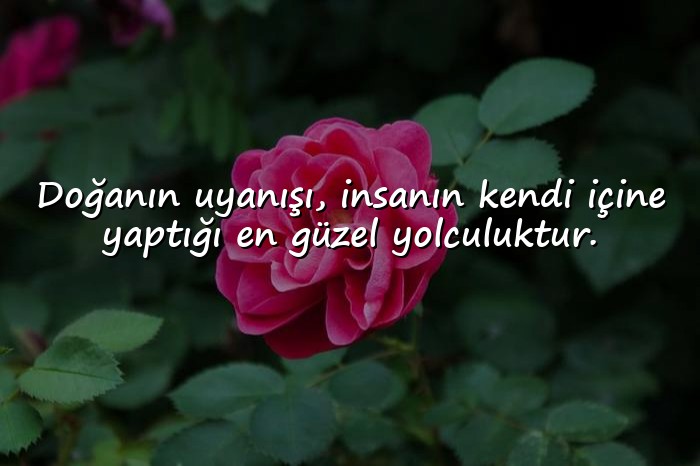 resimli bahar ile ilgili sözler - 1